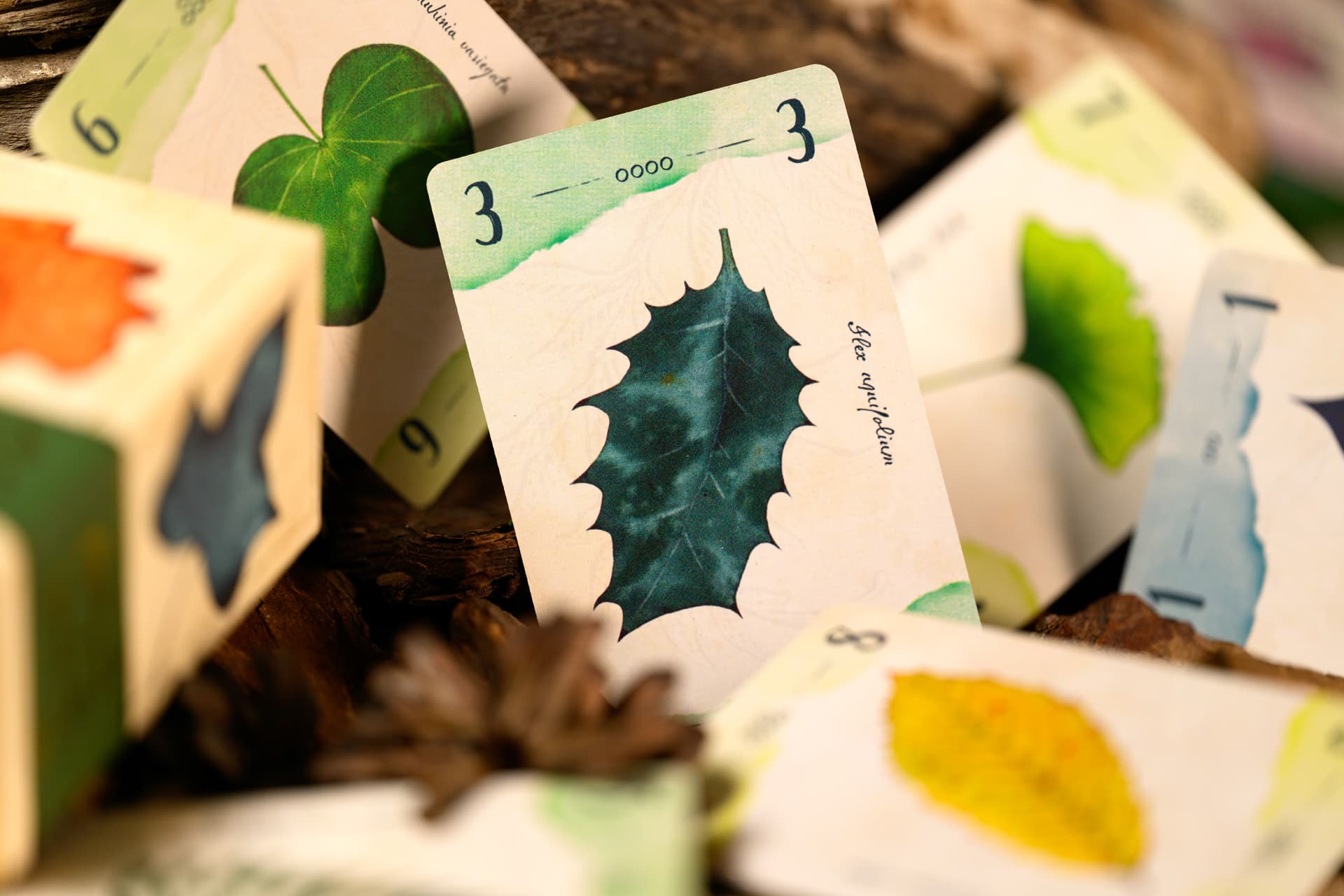 Gioco da Tavolo 13 Foglie – Cranio Creations