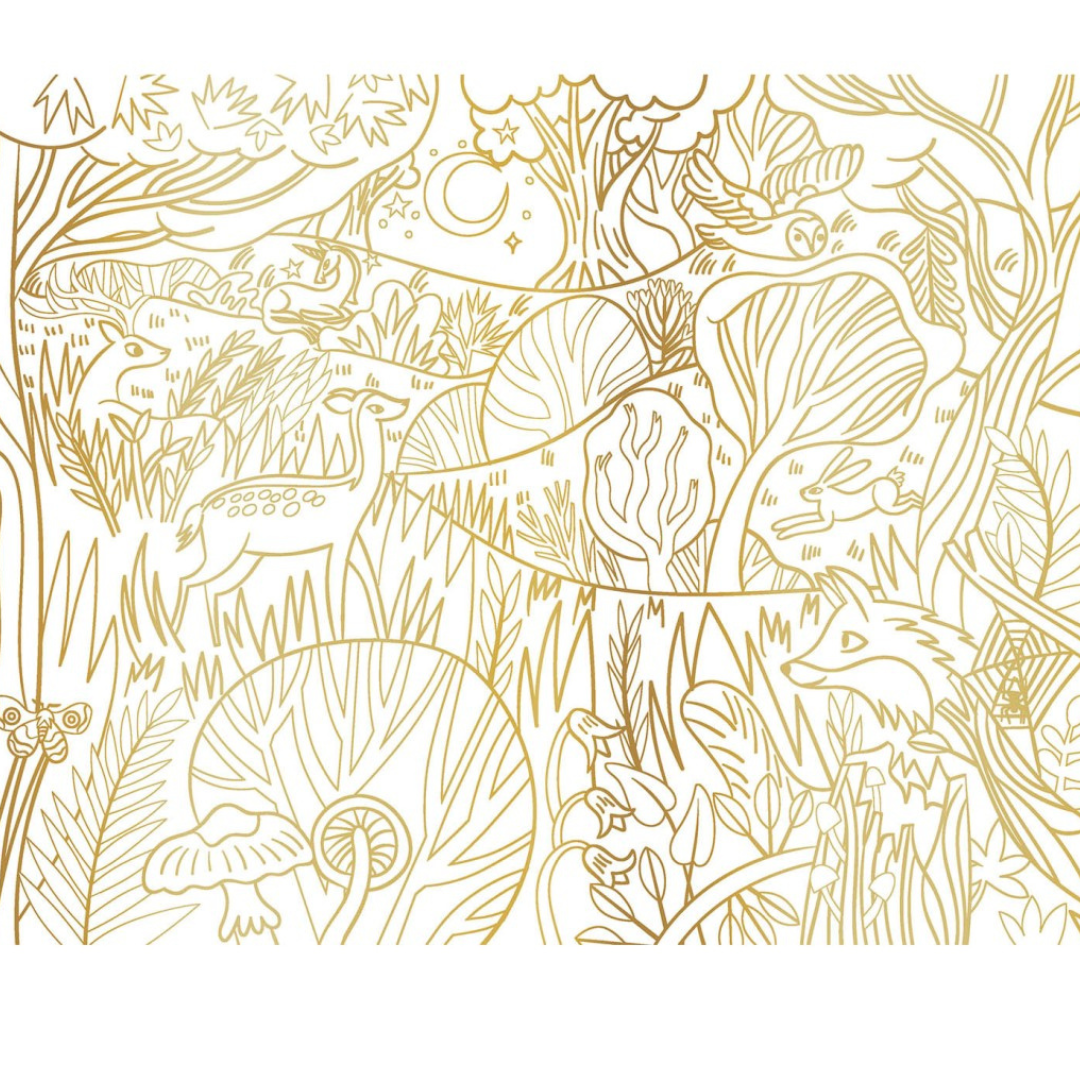 Dipinti incantati per colorare