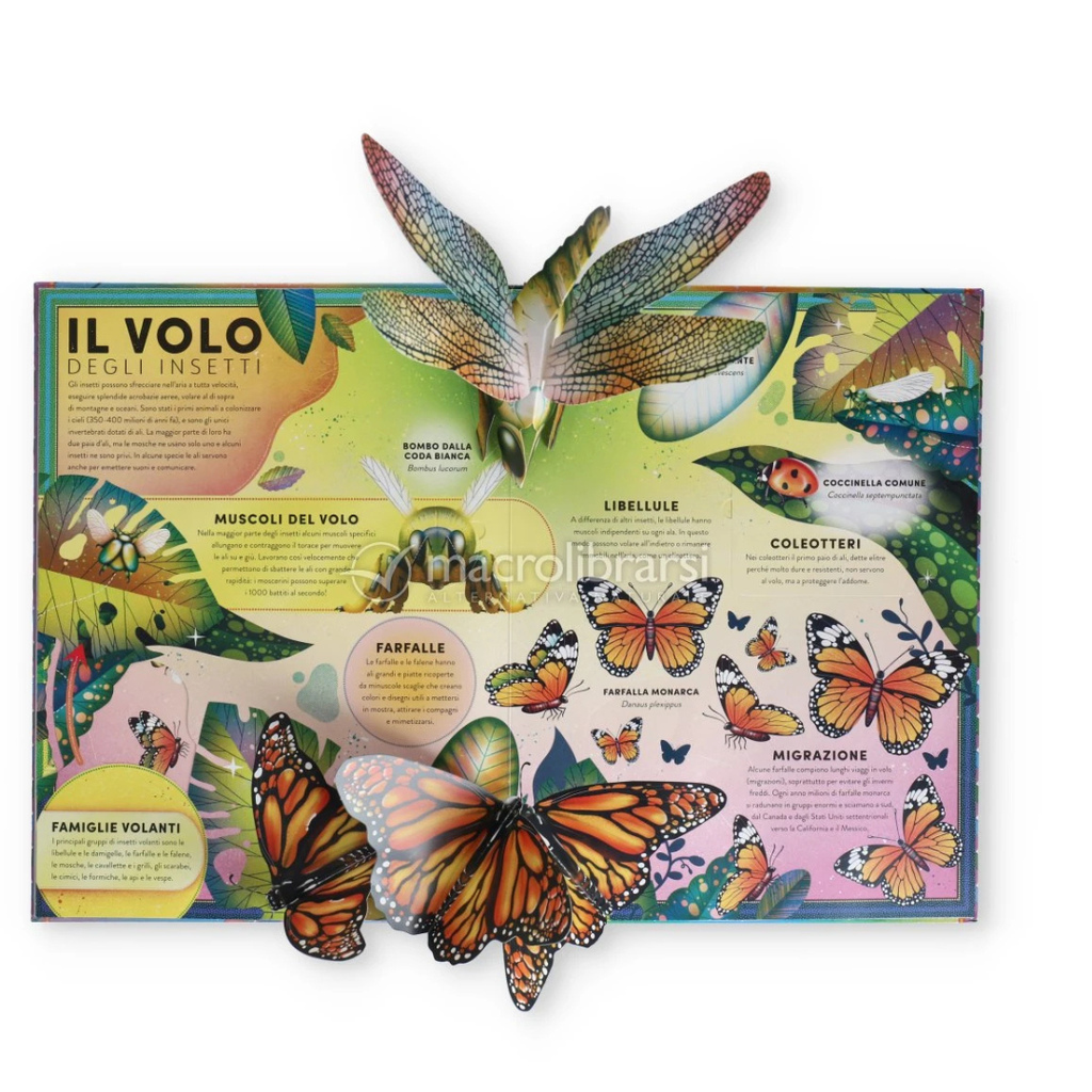 L’incredibile pop-up degli insetti e altri invertebrati – Libro interattivo 3D | Editoriale Scienza